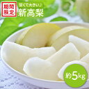 【ふるさと納税】【訳あり】【数量限定】【甘くて大きい】新高梨 約5kg＜岡本　満博＞ [CEN010]