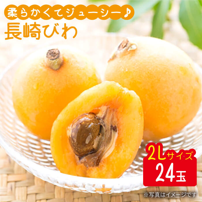 【ふるさと納税】【上品な甘さ】 びわ 2Lサイズ 24玉（約1kg～1.5kg）＜代田浩人＞ [CEO001] 長崎 西...