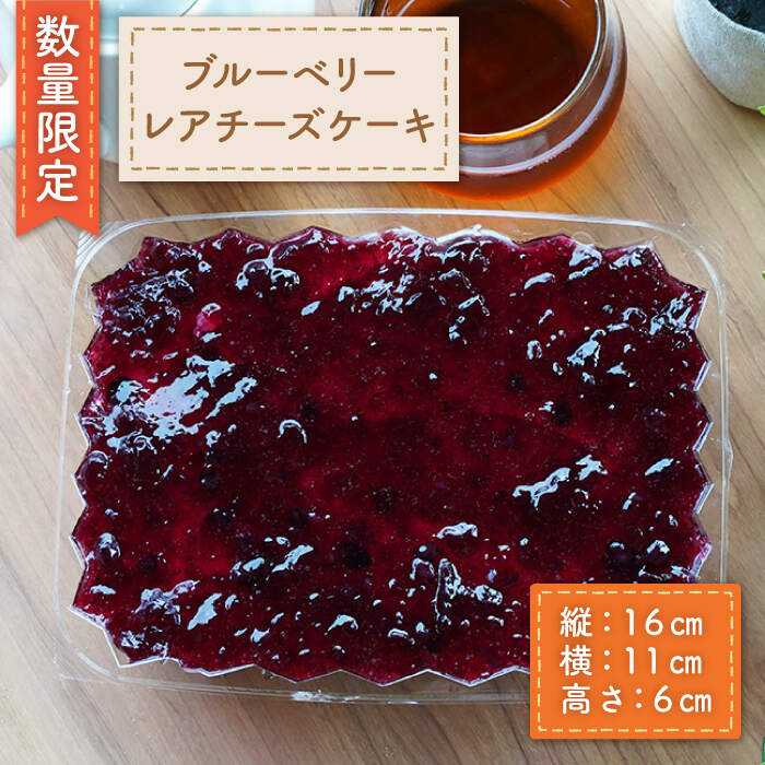 【ふるさと納税】【数量限定】特大！ブルーベリーレアチーズケーキ＜岡崎製パン所＞ [CEP033]のサムネイル