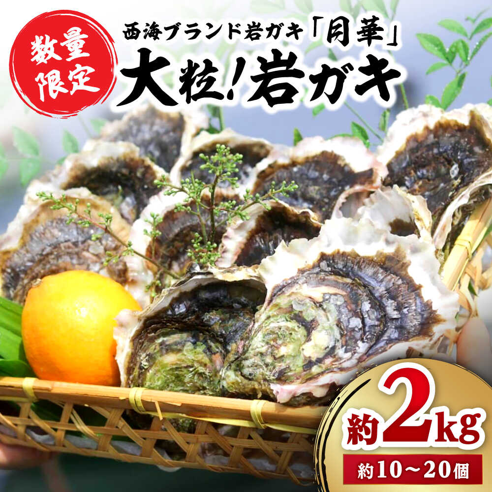 [☆数量限定☆][着日指定可]濃厚! 岩ガキ 約 2kg (約10個〜20個)便利なナイフ・軍手付き♪[ハマフジ水産] [CES001] 牡蠣 カキ 岩牡蠣 生牡蠣 海鮮 冷蔵 贈答 かき 焼牡蠣 パスタ 今が旬
