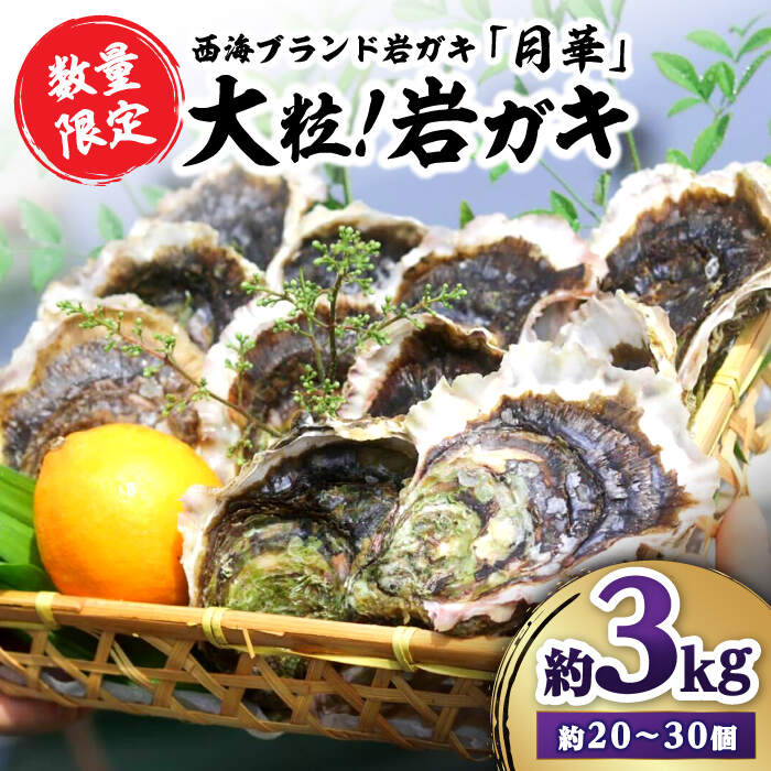 【数量限定】濃厚！ 岩ガキ 約3kg（約20個～30個）＜ハマフジ水産＞ [CES009] カキ 牡蠣 岩牡蠣 かき 生牡蠣