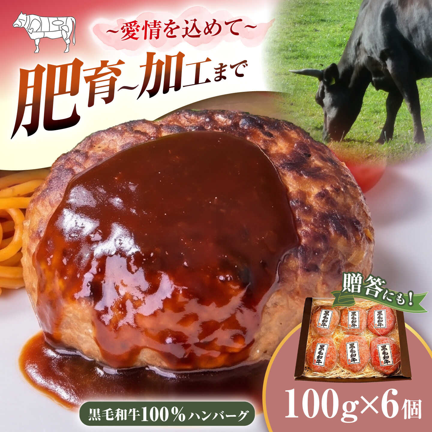 【ふるさと納税】【牛飼いの想いがつまった】 黒毛和牛 ハンバーグ 100g×6個 ＜ミクリヤ畜産＞[CFD025] 長崎 西海 牛肉 個包装 ハンバーグ 長崎和牛100％ はんばーぐ 冷凍 人気 小分け 個包装