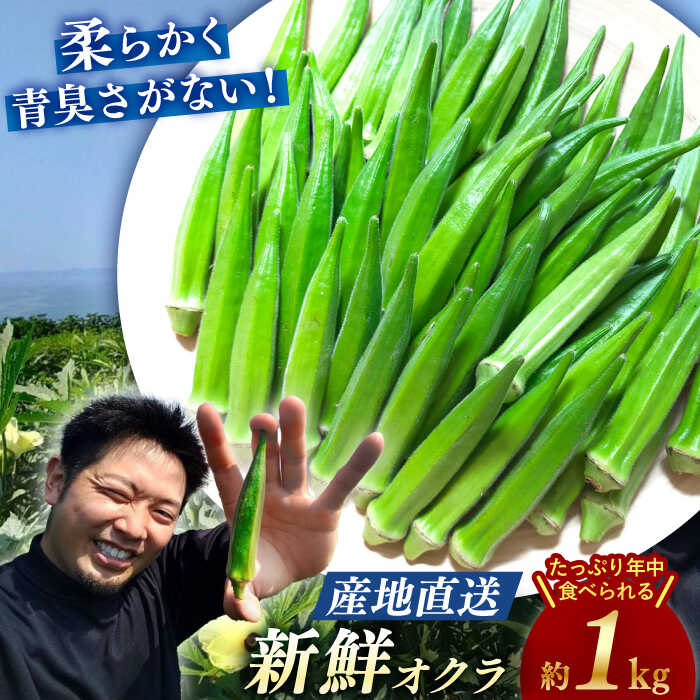 【ふるさと納税】【先行予約】 【朝採れ旬野菜】オクラ 約1kg ＜パッパラパー農園＞ [CFI001]