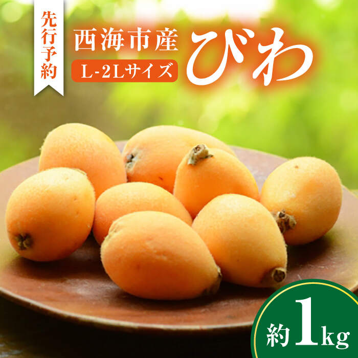 【ふるさと納税】【数量限定】【先行予約】 びわ 枇杷 西海市産 約1kg L～2Lサイズ＜パッパラパー農園＞ [CFI002] ビワ 果物 フルーツ 新鮮 1kg Lサイズ 2Lサイズ