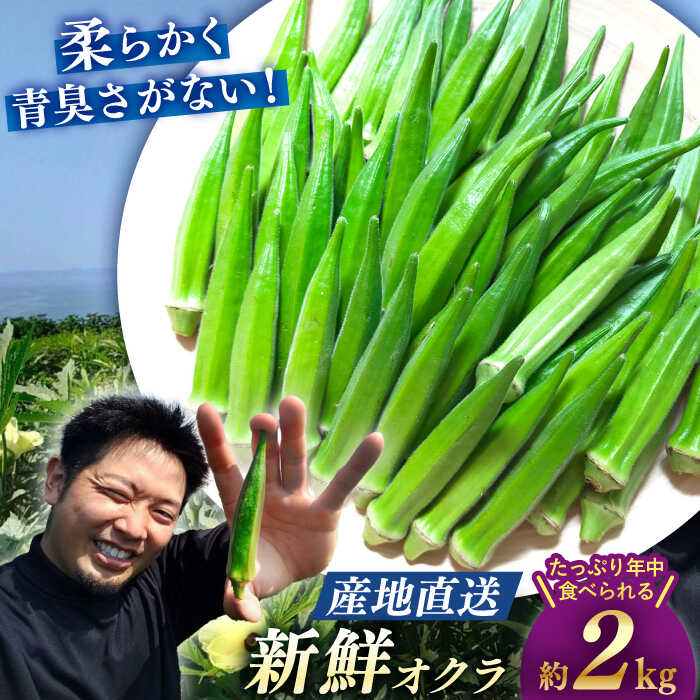 [☆先行予約☆][朝採れ旬野菜] オクラ 約 2kg [パッパラパー農園] [CFI004] おくら 夏野菜 野菜 新鮮