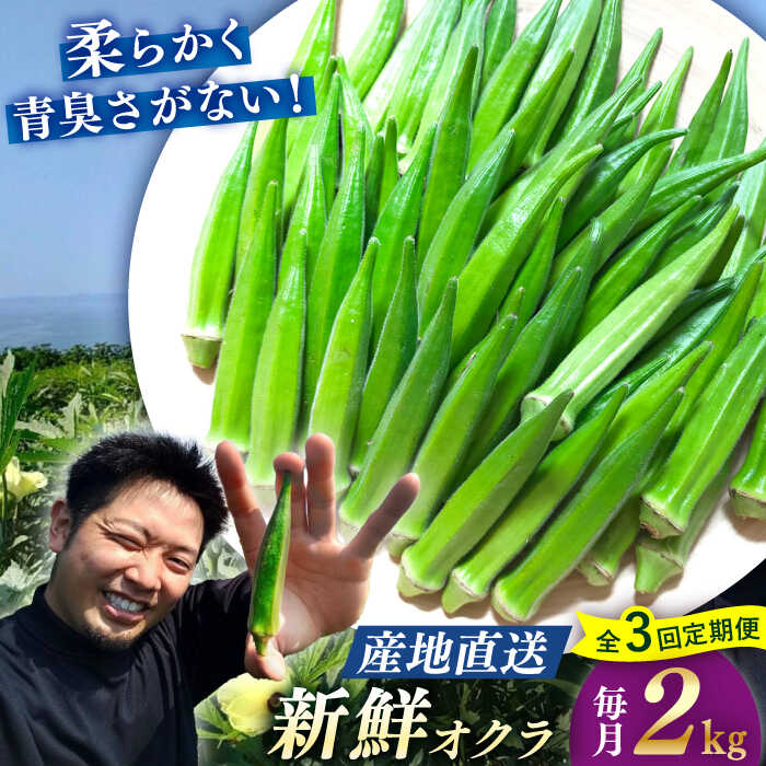 【ふるさと納税】【3回定期便】【先行予約】 オクラ 約2kg ＜パッパラパー農園＞ [CFI006] おくら 夏...