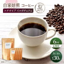 【全て手作業のこだわり】 手仕事で作った自家焙煎コーヒーです。 ハンドピックで、虫食いや育ちの悪い豆は取り除いています。 【さっぱりとした美味しさ】 高級豆の1つのイルガチェフェ。コーヒー発祥の地のエチオピアの豆です。 コクがありながらも、さらりとした口当たりです。コーヒーチェリーのフルーティーさもあり、さっぱりとした後味は、上品なスイーツのような気もしてきます。 朝起きぬけのコーヒー、昼食後のコーヒー、3時のおやつのお供にコーヒー、はかどりたいときのコーヒー、落ち着きたいときのコーヒーなど。。 いろいろなシチュエーションのお供に、美味しいコーヒーで深呼吸してください。下記内容を毎月一回、定期便の数に合わせてお送りいたします。 ○内容 ・100g/袋×5袋 ○袋サイズ H：210mm×W：120mm×D：35mm 【賞味期限】 製造日から半年 【消費期限】 製造日から1年 【原料原産地】 エチオピア産 【加工地】 西海市商品説明 名称【豆タイプ】【6回定期便】 中煎り エチオピア イルガチェフェ 自家焙煎コーヒー 5袋＜giko coffee＞ 内容量下記内容を毎月一回、定期便の数に合わせてお送りいたします。 ○内容 ・100g/袋×5袋 ○袋サイズ H：210mm×W：120mm×D：35mm 原料原産地 エチオピア産 加工地 西海市 賞味期限 製造日から半年 消費期限 製造日から1年 アレルギー表示アレルギー品目なし 配送方法常温 配送期日お申し込みいただいた翌月から、毎月一回定期日の数に合わせてお送りいたします。 提供事業者giko coffee 地場産品基準該当理由 区域内の作業場において、原材料の仕入れから、焙煎、配合、粉砕、梱包までの工程を行うことにより、相応の付加価値が生じているもの