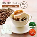 yӂ邳Ɣ[Łzyݔׁzy6ցzhbvobN R[q[ 100܁i5ށ~20܁j giko coffee [CFK039]