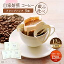 ڤդ뤵Ǽǡۡڰ١ۡ12ءۥɥåץХå ҡ 100ޡ520ޡ giko coffee [CFK040]