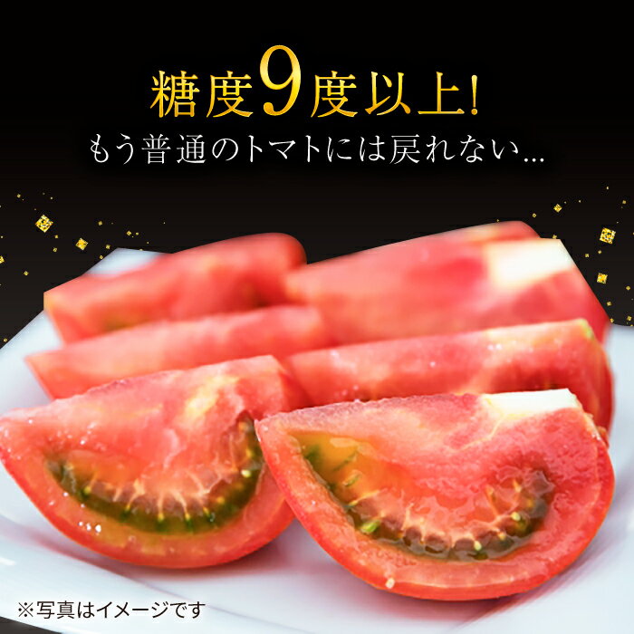 【ふるさと納税】【☆先行予約☆】ミスズプレミアム トマト 約 1kg （9個） ＜株式会社ミスズアグリ西海＞ [CFN002] トマト とまと 高糖度 プレミアム 高級 甘い 美味しい 贈答 ギフト プレゼント 贈り物 リコピン 糖度9度