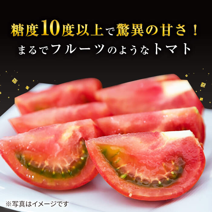 【ふるさと納税】【☆先行予約☆】ミスズ プレミアム トマト 「ルージュ」約 1kg （9個） ＜株式会社ミスズアグリ西海＞ [CFN001] トマト とまと 高糖度 プレミアム 高級 甘い 美味しい 贈答 ギフト プレゼント 贈り物 リコピン 糖度9度 糖度10度