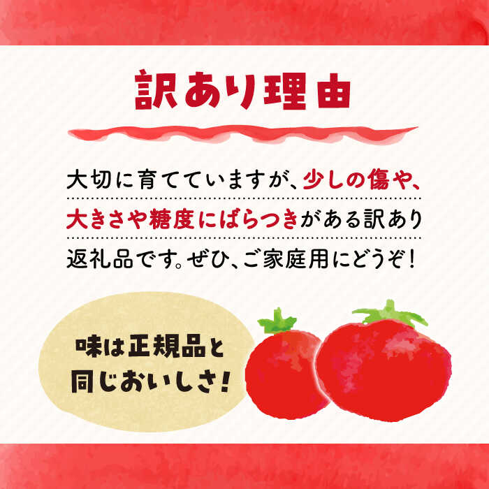 【ふるさと納税】【 訳あり 】ミスズアグリの 西海産 トマト 3kg ＜株式会社ミスズアグリ西海＞[CFN003] 長崎 西海 とまと トマト 訳あり リコピン 旨味