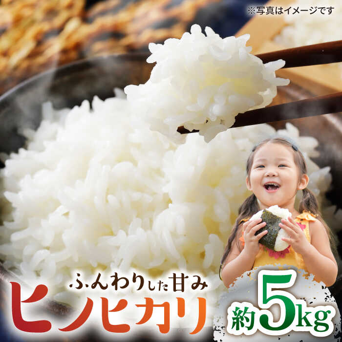 【数量限定】【 令和5年産 新米 】ヒノヒカリ約5kg ＜村山金定＞[CFP003]