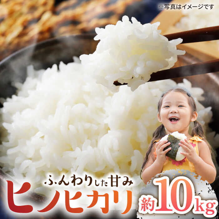 【数量限定】【 令和5年産 新米 】ヒノヒカリ約10kg ＜村山金定＞[CFP004]