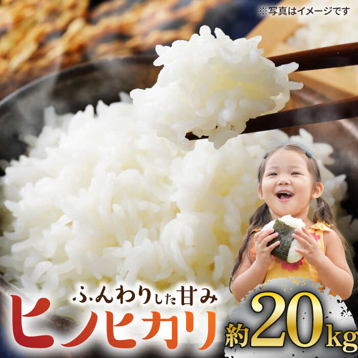 【数量限定】【 令和5年産 新米 】ヒノヒカリ約20kg ＜村山金定＞[CFP005]