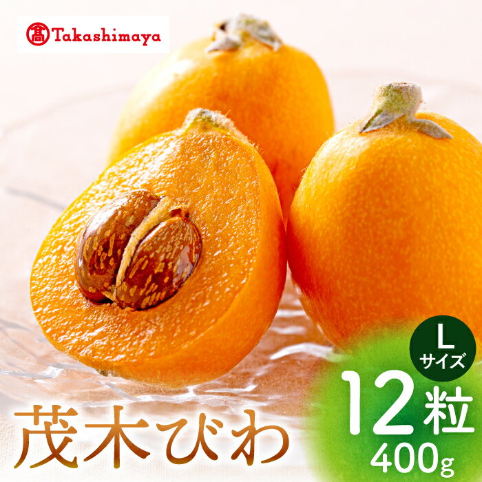 [ 高島屋 選定品][九州屋][先行予約] 茂木 びわ 400g( Lサイズ 12粒入)[高島屋][CFQ060] びわ ビワ 琵琶 果物 フルーツ 大粒 Lサイズ 贈答 ギフト プレゼント 九州屋 高島屋