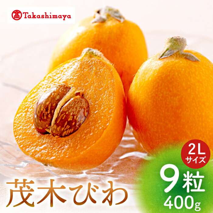 [ 高島屋 選定品][九州屋][先行予約] 茂木びわ 400g ( 2Lサイズ 9粒入)[高島屋][CFQ061] びわ ビワ 琵琶 果物 フルーツ 大粒 2Lサイズ Lサイズ 贈答 ギフト プレゼント 九州屋 高島屋