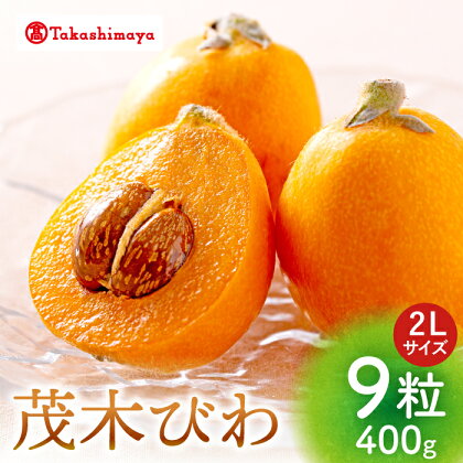 【 高島屋 選定品】【九州屋】【先行予約】 茂木びわ 400g （ 2Lサイズ 9粒入）＜高島屋＞[CFQ061] びわ ビワ 琵琶 果物 フルーツ 大粒 2Lサイズ Lサイズ 贈答 ギフト プレゼント 九州屋 高島屋