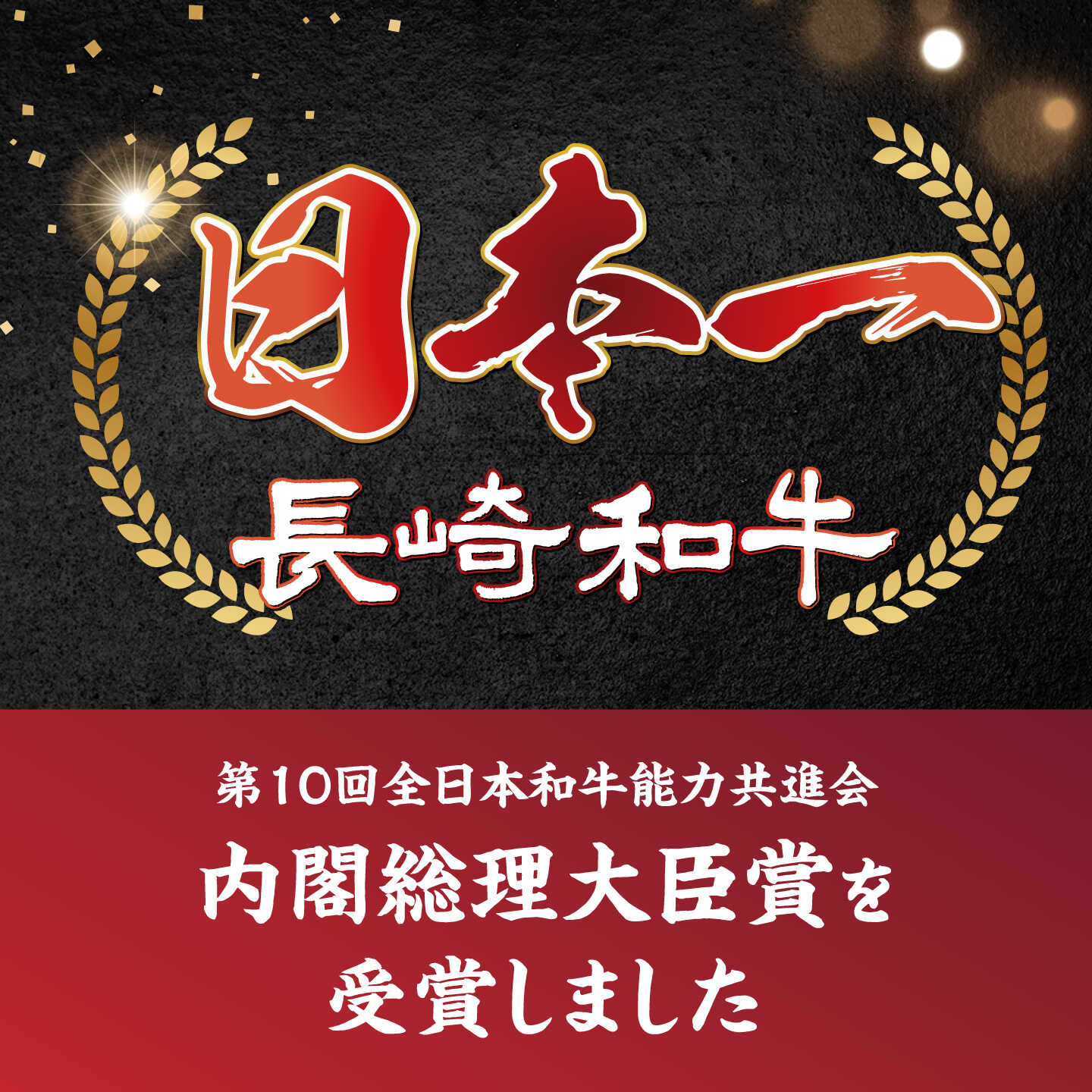 【ふるさと納税】【3回定期便】艶さし！【A4〜A5】長崎和牛大判霜降り贅沢切り落とし 計1.25kg（250g×5パック）＜株式会社MEAT PLUS＞[CFT082] f422126-saikai-10002556 長崎県西海市 サンプル画像3