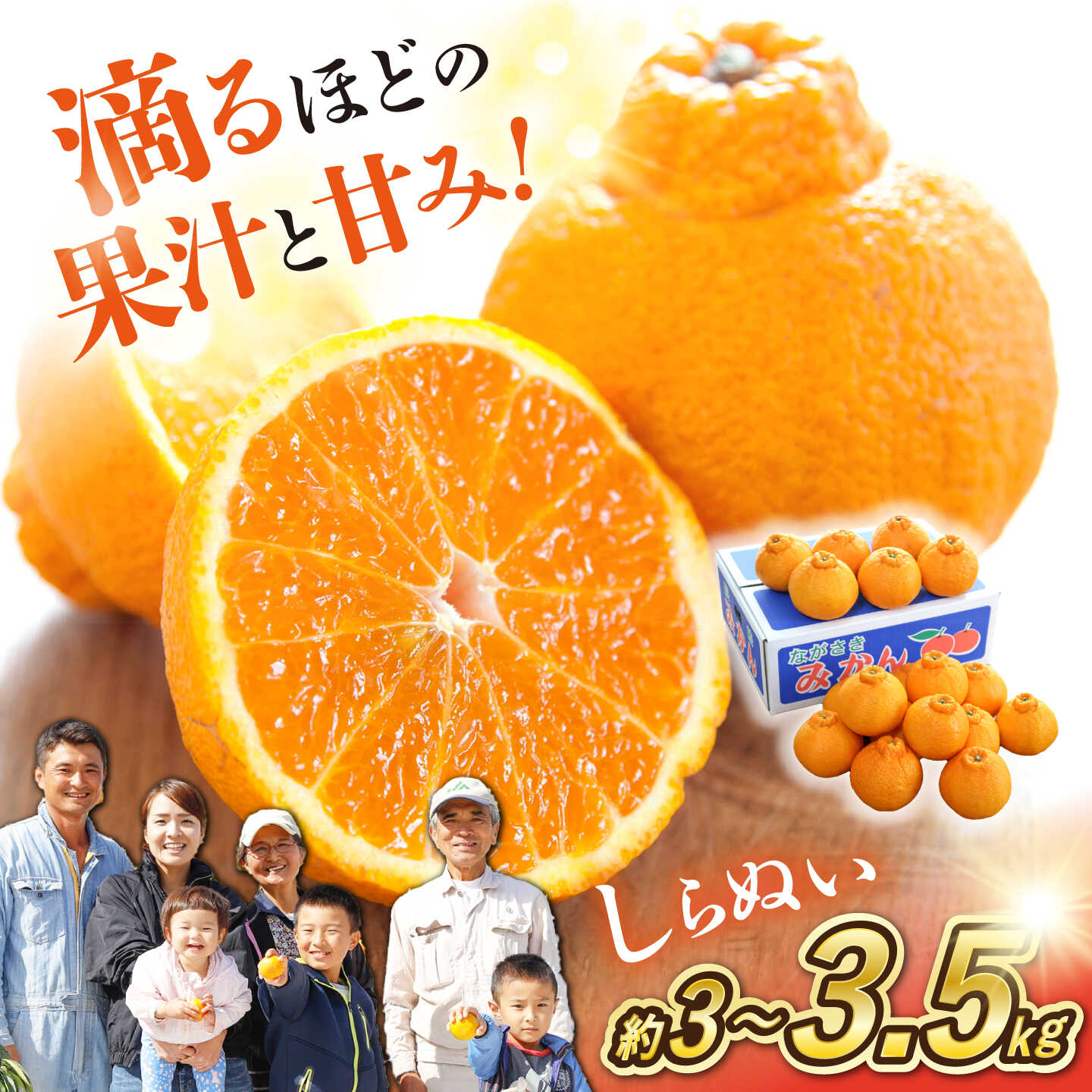 楽天市場】不知火の通販