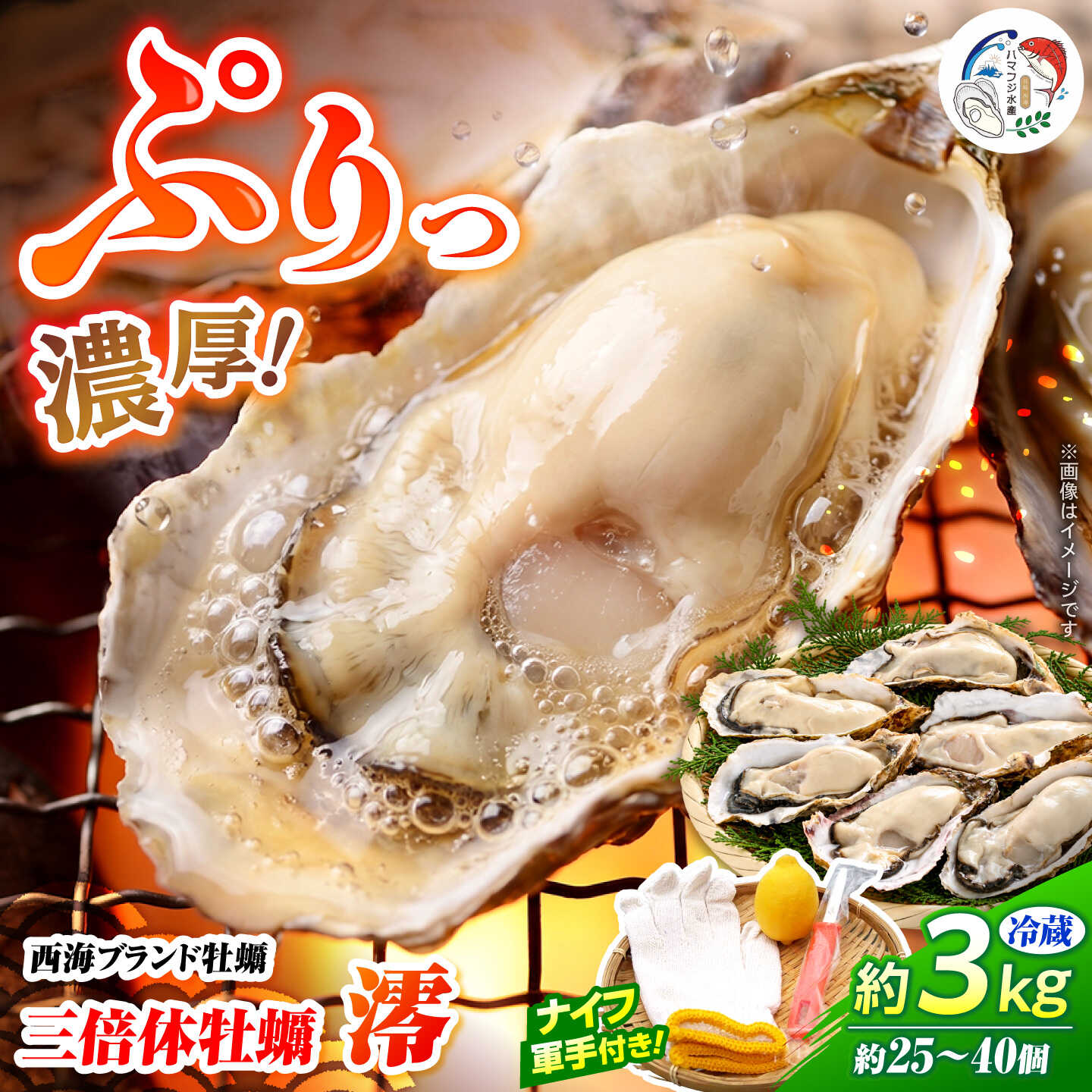 【着日指定可・数量限定】 三倍体牡蠣「澪」 3kg ＜ハマフジ水産＞[CES011]