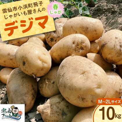 【先行受付】 じゃがいも デジマ 10kg [宅島ファーム 長崎県 雲仙市 item1124] 野菜 ジャガイモ 10キロ デジマ 馬鈴薯 春じゃが 長崎県産 期間限定