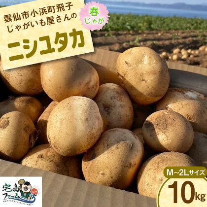 【先行受付】 じゃがいも ニシユタカ 10kg [宅島ファーム 長崎県 雲仙市 item1126] 野菜 ジャガイモ 10キロ 馬鈴薯 春じゃが 長崎県産 期間限定