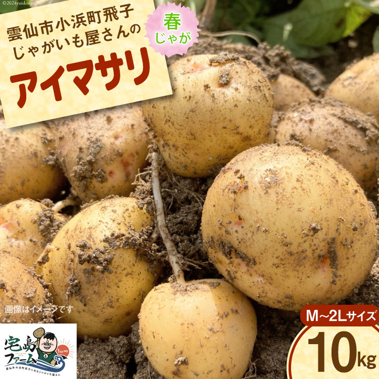 [先行受付] じゃがいも アイマサリ 10kg [宅島ファーム 長崎県 雲仙市 item1127] 野菜 ジャガイモ 10キロ 馬鈴薯 春じゃが 長崎県産 期間限定