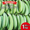 【ふるさと納税】エンドウ スナップエンドウ 1kg [横田農園 長崎県 雲仙市 item1150] 野菜 やさい えんどう豆 エンドウ さやえんどう 新鮮 サラダ