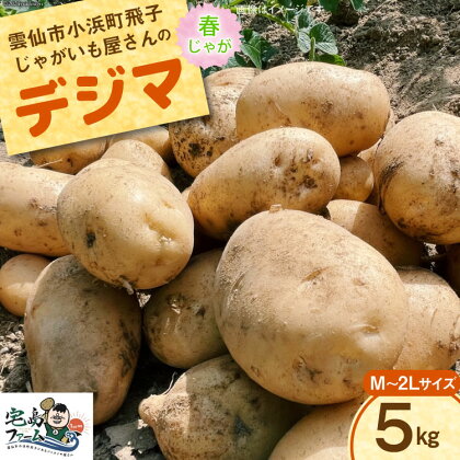 【先行受付】 じゃがいも デジマ 5kg [宅島ファーム 長崎県 雲仙市 item1169] 野菜 ジャガイモ 5キロ でじま デジマ 馬鈴薯 春じゃが 長崎県産 期間限定