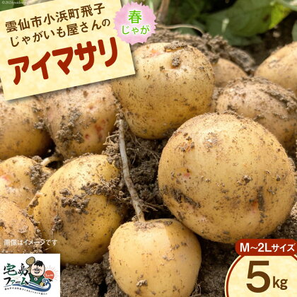 【先行受付】 じゃがいも アイマサリ 5kg [宅島ファーム 長崎県 雲仙市 item1170] 野菜 ジャガイモ 5キロ 馬鈴薯 春じゃが 長崎県産 期間限定