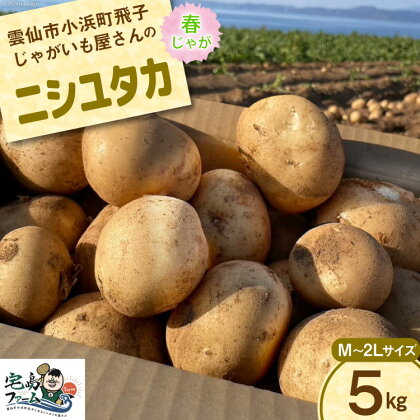 【先行受付】 じゃがいも ニシユタカ 5kg [宅島ファーム 長崎県 雲仙市 item1171] 野菜 ジャガイモ 5キロ 馬鈴薯 春じゃが 長崎県産 期間限定