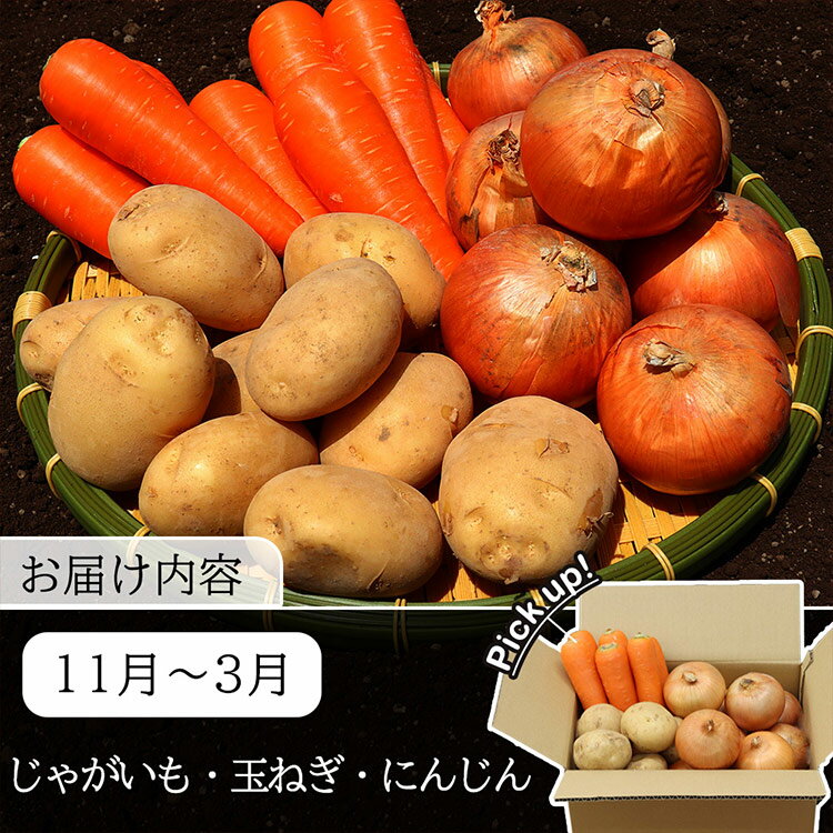 【ふるさと納税】定期便 9回 常備野菜 セット 約5kg 詰め合わせ [吉岡青果 長崎県 雲仙市 item1830] じゃがいも 玉ねぎ 人参 かぼちゃ レビューキャンペーン