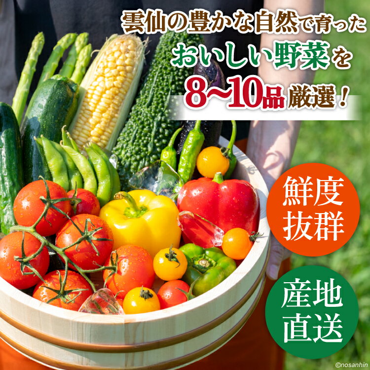 【ふるさと納税】 【6回奇数月コース】雲仙のめぐみ 旬の野菜セット (S)【卵6個付き】8〜10品目セット [長崎県農産品流通 長崎県 雲仙市 item2224] 野菜 定期 野菜セット フルーツ 果物 くだもの 卵 たまご