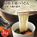 【ふるさと納税】【雲仙 大地の恵み】島原手延べうどん3kg 