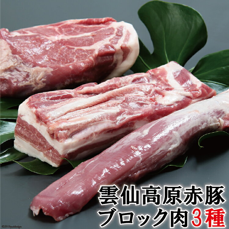 【ふるさと納税】長崎県産 雲仙高原赤豚 【ブロック肉3種】 