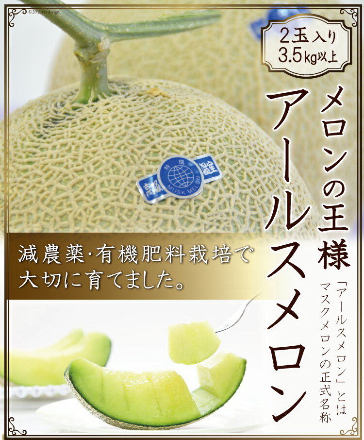 【ふるさと納税】【先行受付】【メロンの王様】アールスメロン 2玉（3.5キロ以上） / 長崎県農産品流通合同会社 / 長崎県 雲仙市 [item0085] / 野菜 果物 フルーツ メロン 期間限定