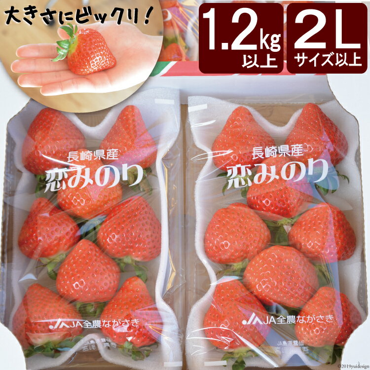 【ふるさと納税】【大粒限定】【1.2kg以上】 いちご「恋みのり」2Lサイズ以上