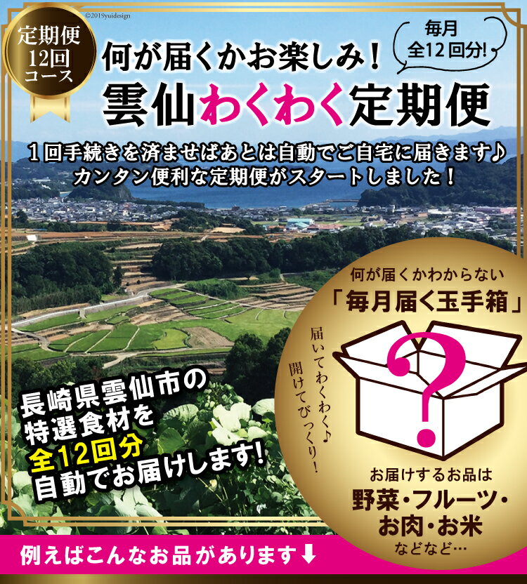 【ふるさと納税】食卓で会話が弾む♪ 雲仙わくわく定期便 毎月お届け 年12回コース 何が届くかお楽しみ！