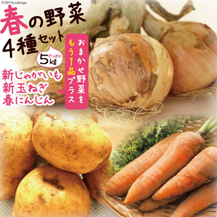 【ふるさと納税】【先行受付】【春の新野菜セット】新じゃがいも・新玉ねぎ・春人参の基本野菜に自慢...