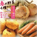 【ふるさと納税】【先行受付】【春の新野菜セット】新じゃがいも