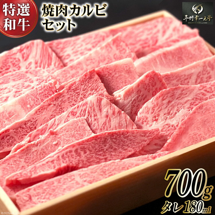 [特選和牛 平野幸一之牛] 焼肉 カルビ セット 700g & タレ 180ml / 焼肉薩摩 / 長崎県 雲仙市 [item0907] 牛肉 黒毛和牛 カルビ 冷凍