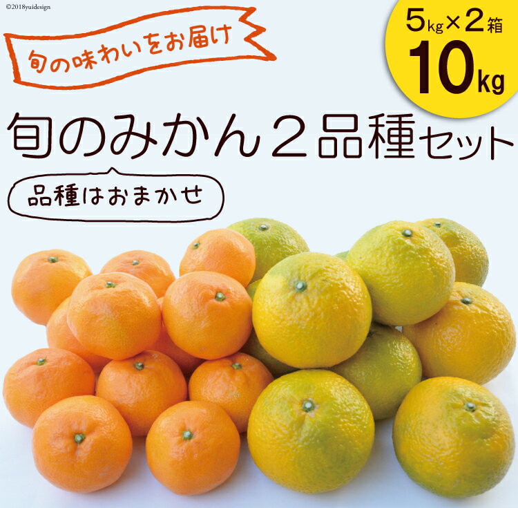 【ふるさと納税】【先行受付】柑橘詰合せセット みかん 2種類（5kg×2箱）計10kg / 森崎果樹園 / 長崎県 雲仙市 [item0162] / 果物 フルーツ みかん 詰め合わせ セット 10キロ