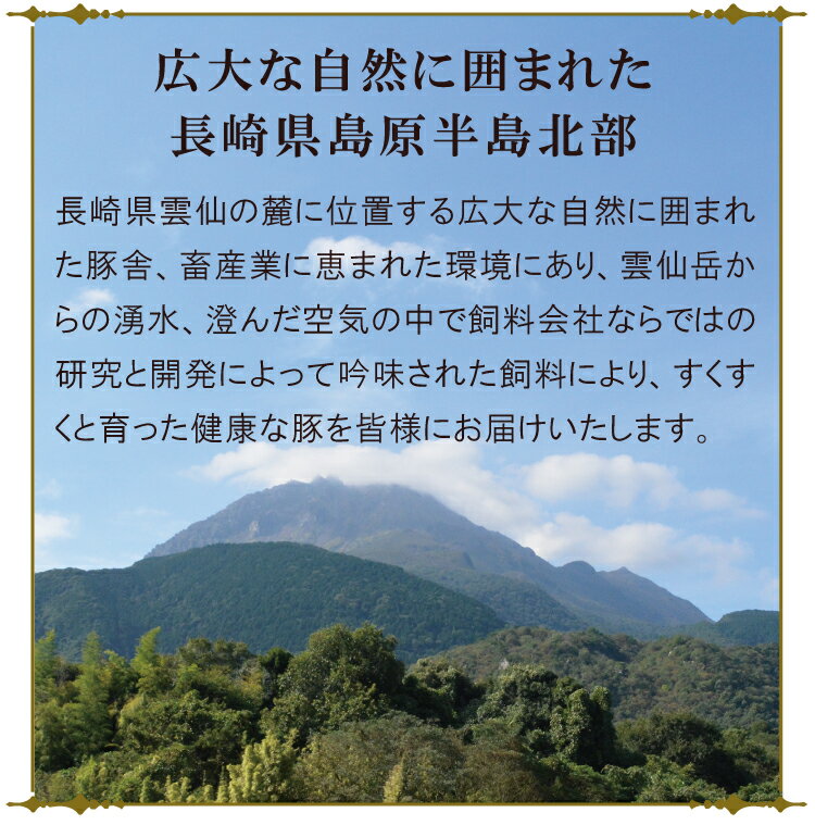 【ふるさと納税】【雲仙市の国産豚】ハム・ベーコンセット 3種類 3