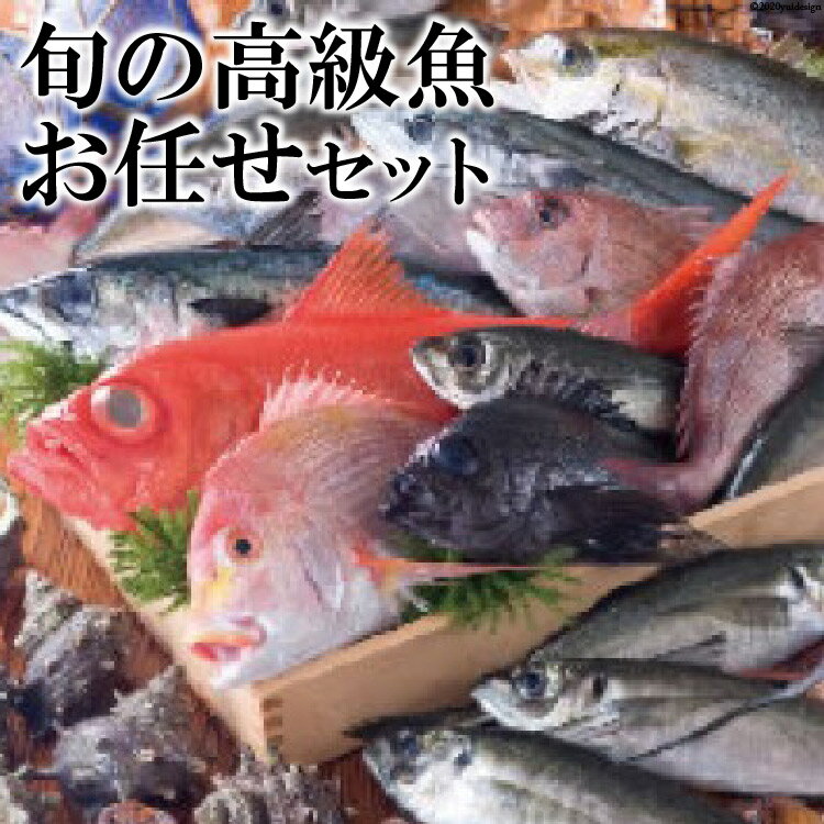 【ふるさと納税】旬の高級魚お任せセット / 田中鮮魚店 / 長崎県雲仙市 1