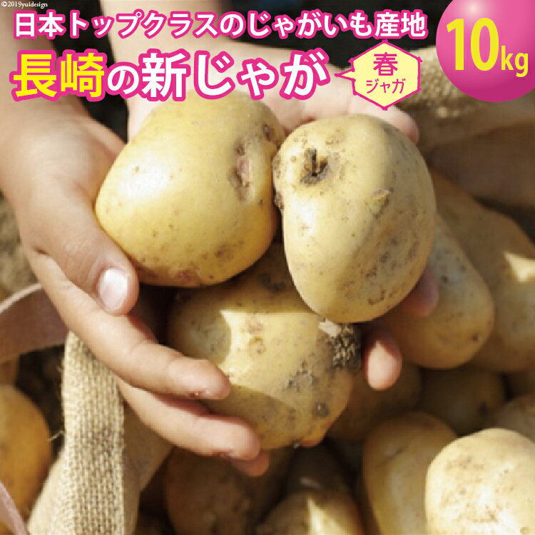 【ふるさと納税】【先行受付】飛子の馬鈴薯10kg（春じゃが） / 長崎県農産品流通合同会社 / 長崎県 雲仙市 [item0081] / 野菜 じゃがいも ジャガイモ 春じゃが 10キロ