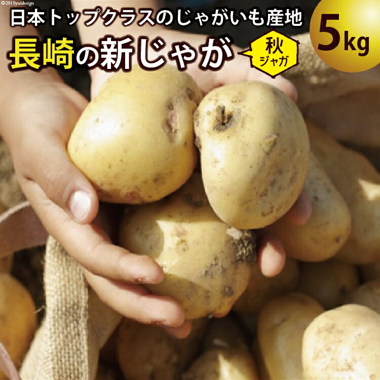 25位! 口コミ数「4件」評価「4.75」【先行受付】飛子の馬鈴薯 5kg （ 秋じゃが ）[長崎県農産品流通合同会社 長崎県 雲仙市 item0092] 野菜 じゃがいも ジャガイ･･･ 