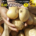 【先行受付】飛子の馬鈴薯 5kg （ 秋じゃが ）[長崎県農産品流通合同会社 長崎県 雲仙市 item0092] 野菜 じゃがいも ジャガイモ 5キロ 期間限定