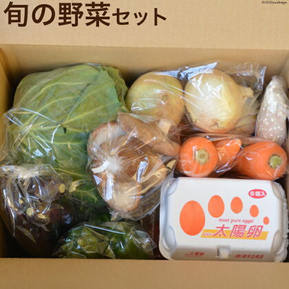 ”雲仙のめぐみ”旬の野菜セット(S)【太陽卵6個付き】 7品目セット