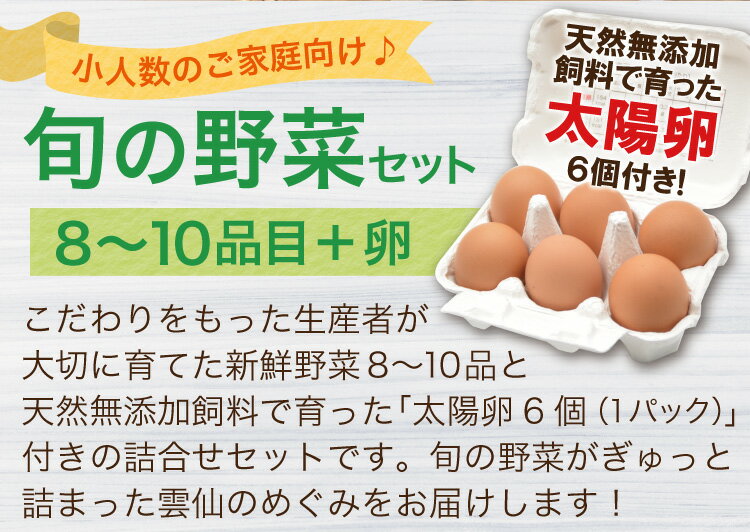 【ふるさと納税】【6回奇数月コース】 ふるさと納税 野菜 定期 定期便 ”雲仙のめぐみ”旬の野菜セット定期便（S）【太陽卵6個付き】8～10品目セット [ 長崎県農産品流通合同会社 長崎県 雲仙市 item0211 ]